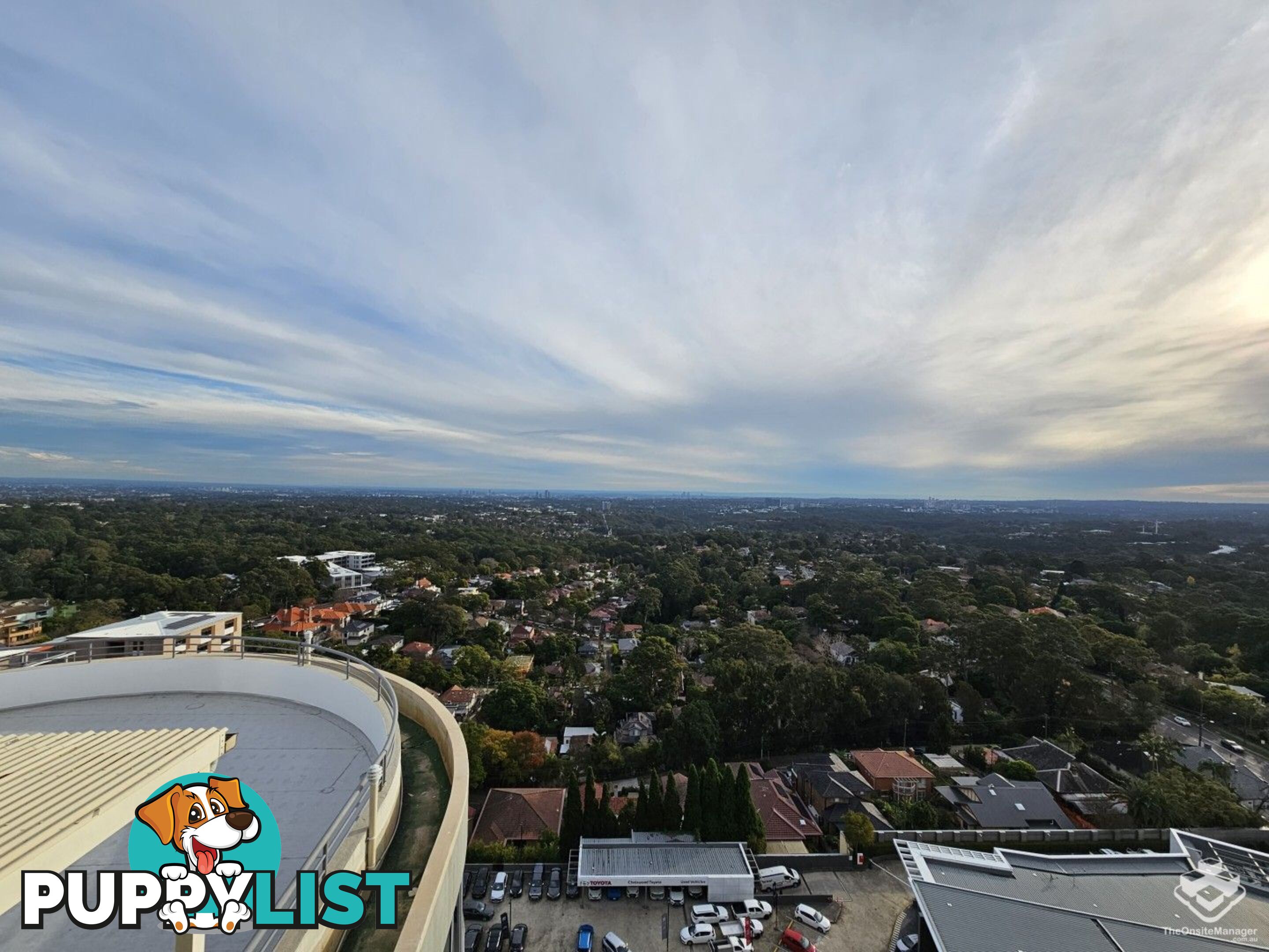 ID:21157966 14 Brown Street Chatswood NSW 2067