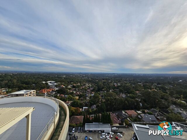 ID:21157966 14 Brown Street Chatswood NSW 2067