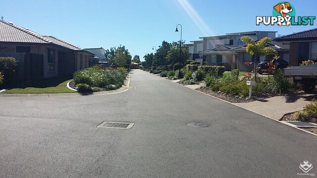 ID:21156570 230 Pulgul Street Urangan QLD 4655