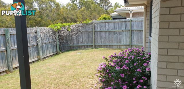 ID:21156570 230 Pulgul Street Urangan QLD 4655