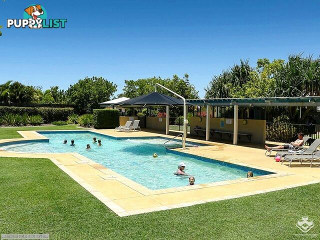 ID:21156570 230 Pulgul Street Urangan QLD 4655