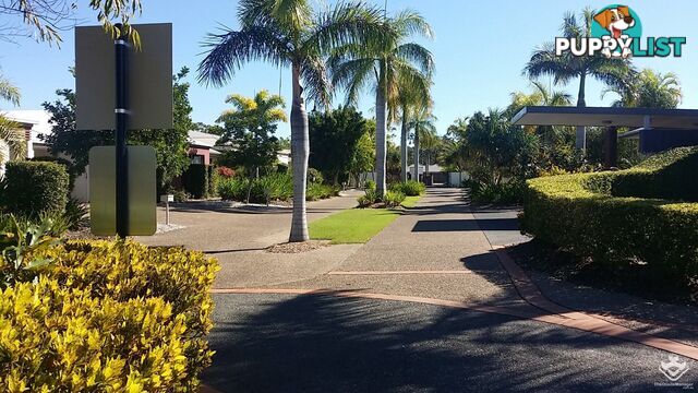 ID:21156570 230 Pulgul Street Urangan QLD 4655