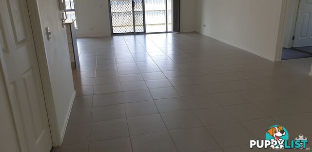 ID:21156570 230 Pulgul Street Urangan QLD 4655