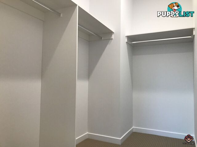 ID:3892218 25 The Corso North Lakes qld 4509