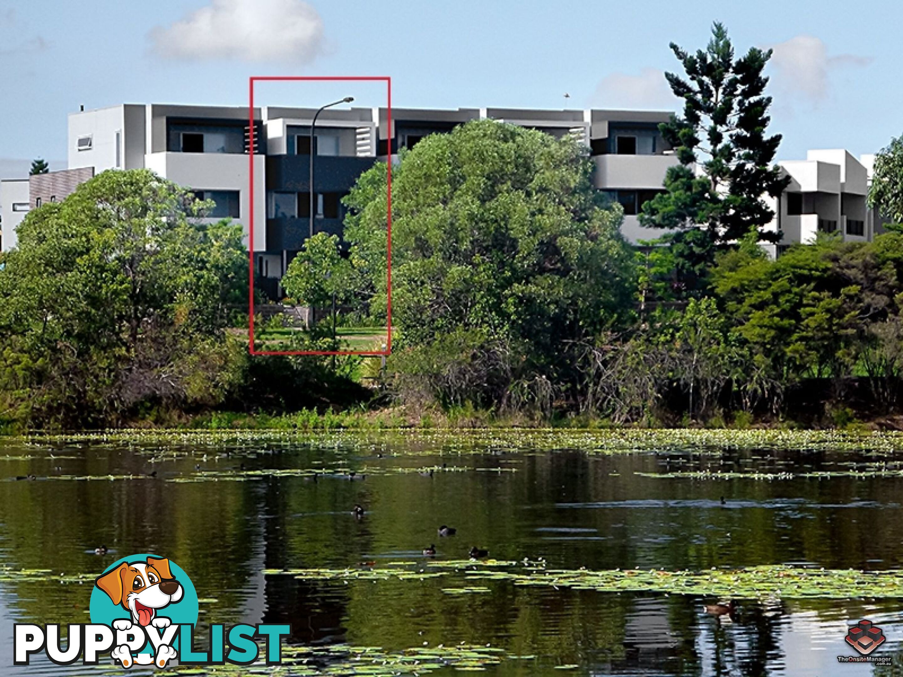 ID:3892218 25 The Corso North Lakes qld 4509