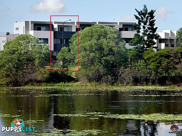 ID:3892218 25 The Corso North Lakes qld 4509