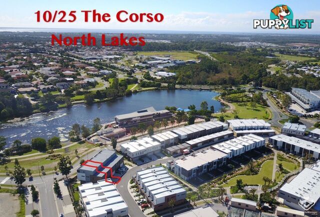 ID:3892218 25 The Corso North Lakes qld 4509