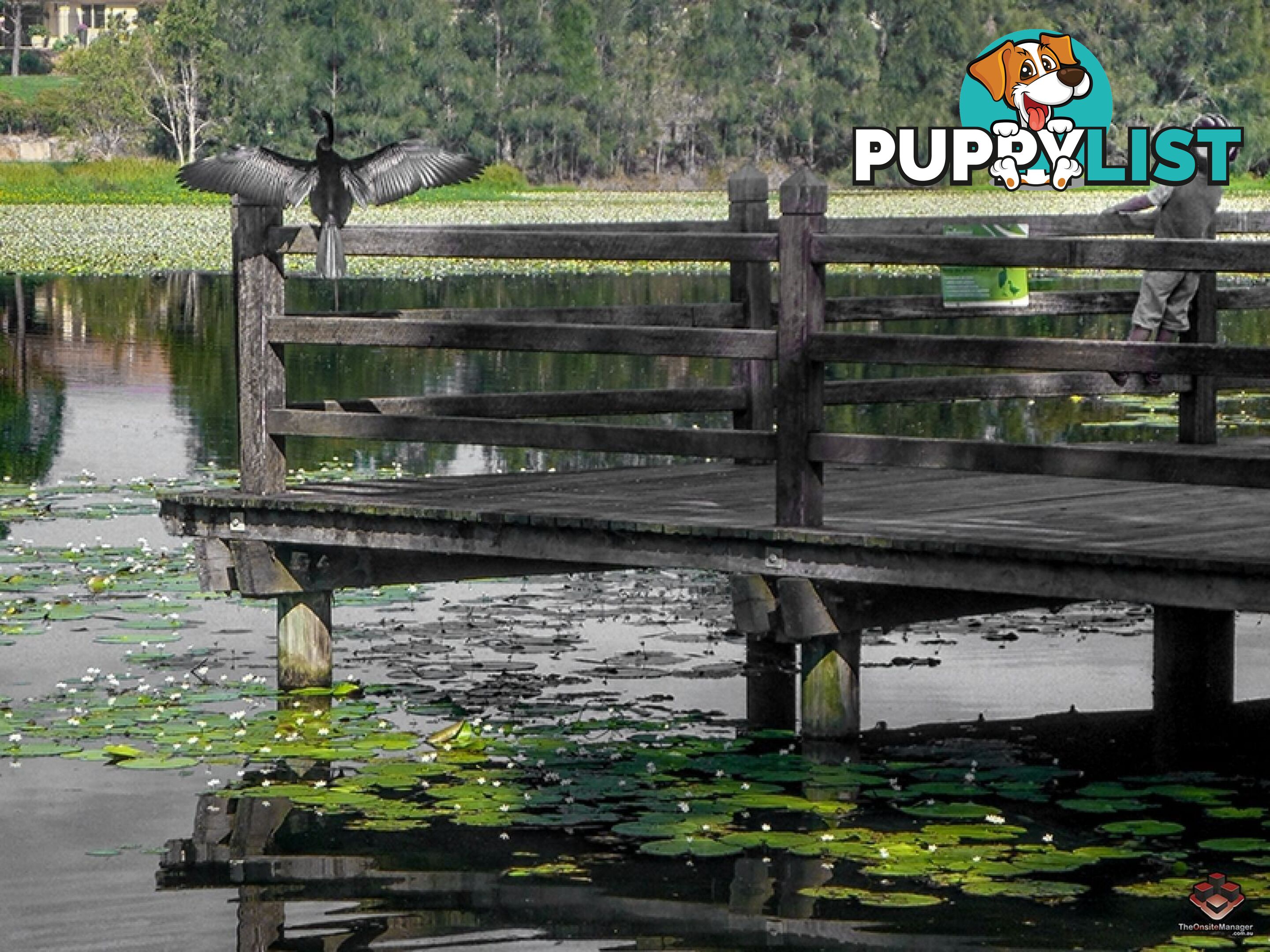 ID:3892218 25 The Corso North Lakes qld 4509