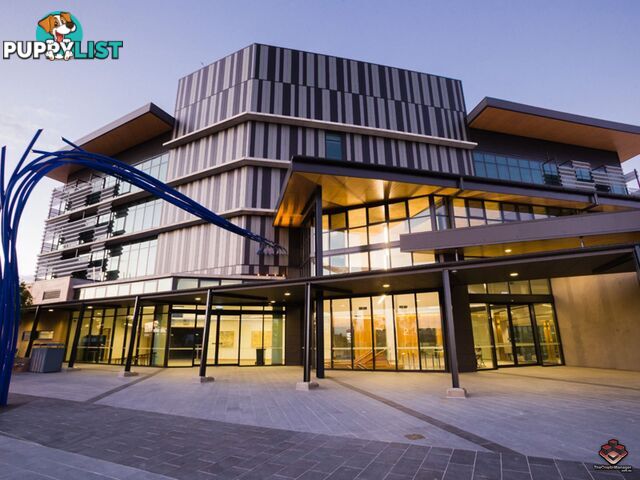 ID:3892218 25 The Corso North Lakes qld 4509