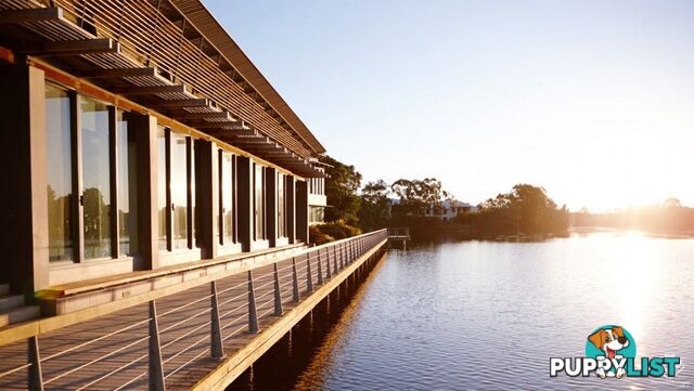 ID:3892218 25 The Corso North Lakes qld 4509