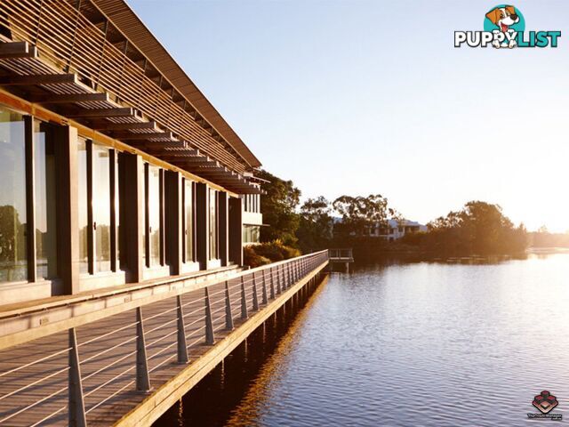 ID:3892218 25 The Corso North Lakes qld 4509