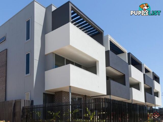 ID:3892218 25 The Corso North Lakes qld 4509