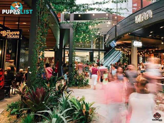 ID:3892218 25 The Corso North Lakes qld 4509
