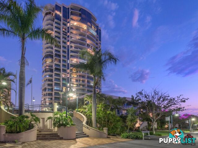 ID:21119969/8 Goodwin Street Kangaroo Point QLD 4169