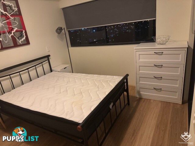 ID:21154525 292 Boundary Street Spring Hill QLD 4000
