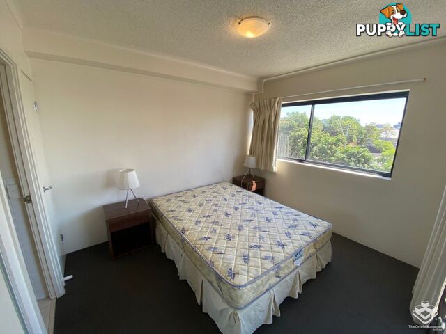 ID:21154525 292 Boundary Street Spring Hill QLD 4000