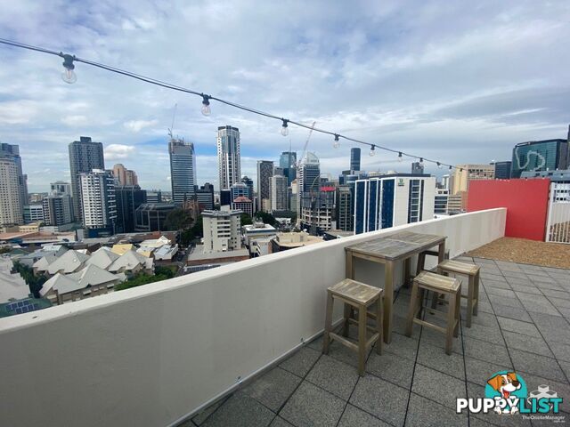 ID:21154525 292 Boundary Street Spring Hill QLD 4000