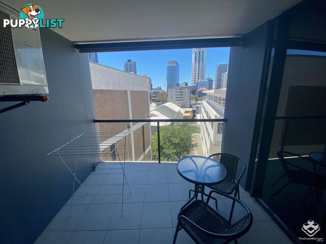 ID:21154525 292 Boundary Street Spring Hill QLD 4000