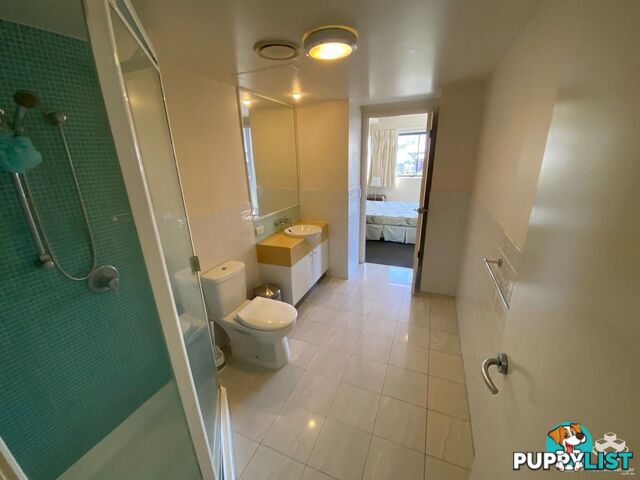 ID:21154525 292 Boundary Street Spring Hill QLD 4000