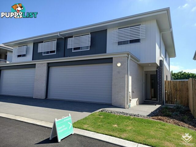 ID:21152546 82 Cascade Street Raceview QLD 4305