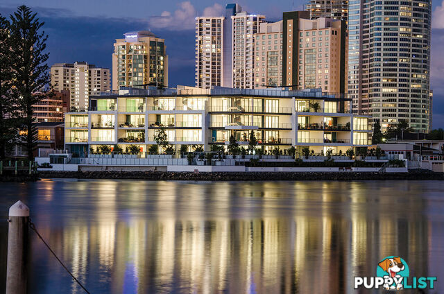 ID:21153770 30-32 Paradise Island Surfers Paradise QLD 4217