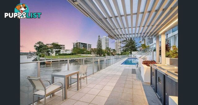 ID:21153770 30-32 Paradise Island Surfers Paradise QLD 4217