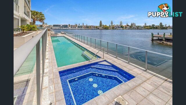 ID:21153770 30-32 Paradise Island Surfers Paradise QLD 4217