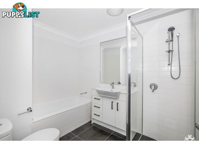 ID:21152559 36 Bunya Road Everton Hills QLD 4053