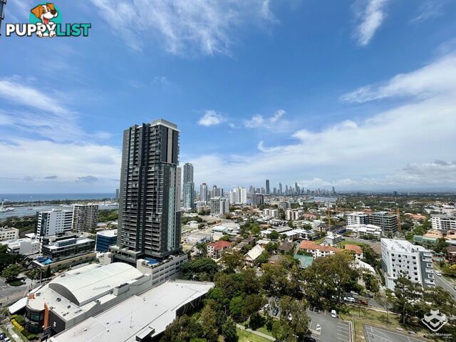 ID:21141353/9 Lawson Street Southport QLD 4215