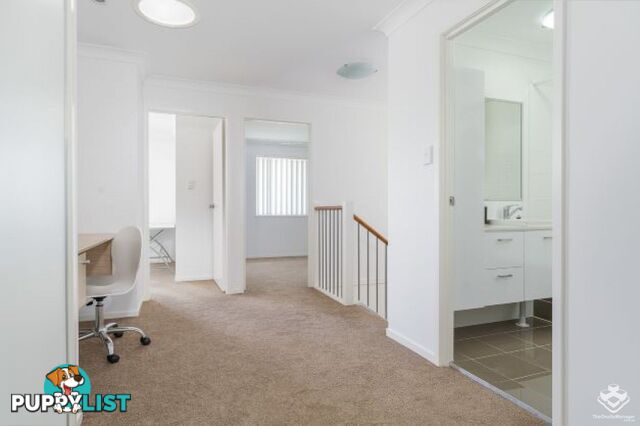 ID:21154624 10 Sovereign Place Algester QLD 4115