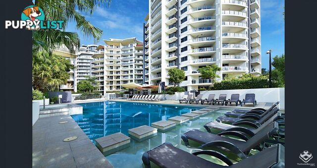 ID:21139421/ 21-31 Cypress Avenue Surfers Paradise QLD 4217