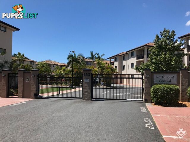 ID:21147471 Unit03,253 Melton Road Northgate QLD 4013