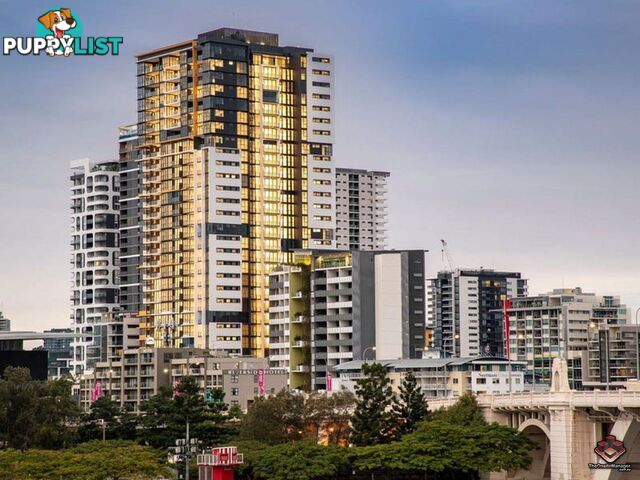 U505 / 19 Hope Street South Brisbane QLD 4101