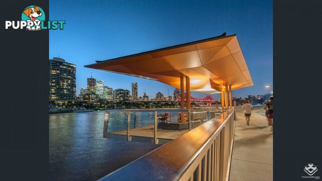 ID:21155183 38 Skyring Terrace Teneriffe QLD 4005
