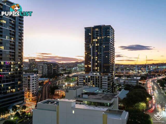 ID:21136556/77 Grey Street South Brisbane QLD 4101