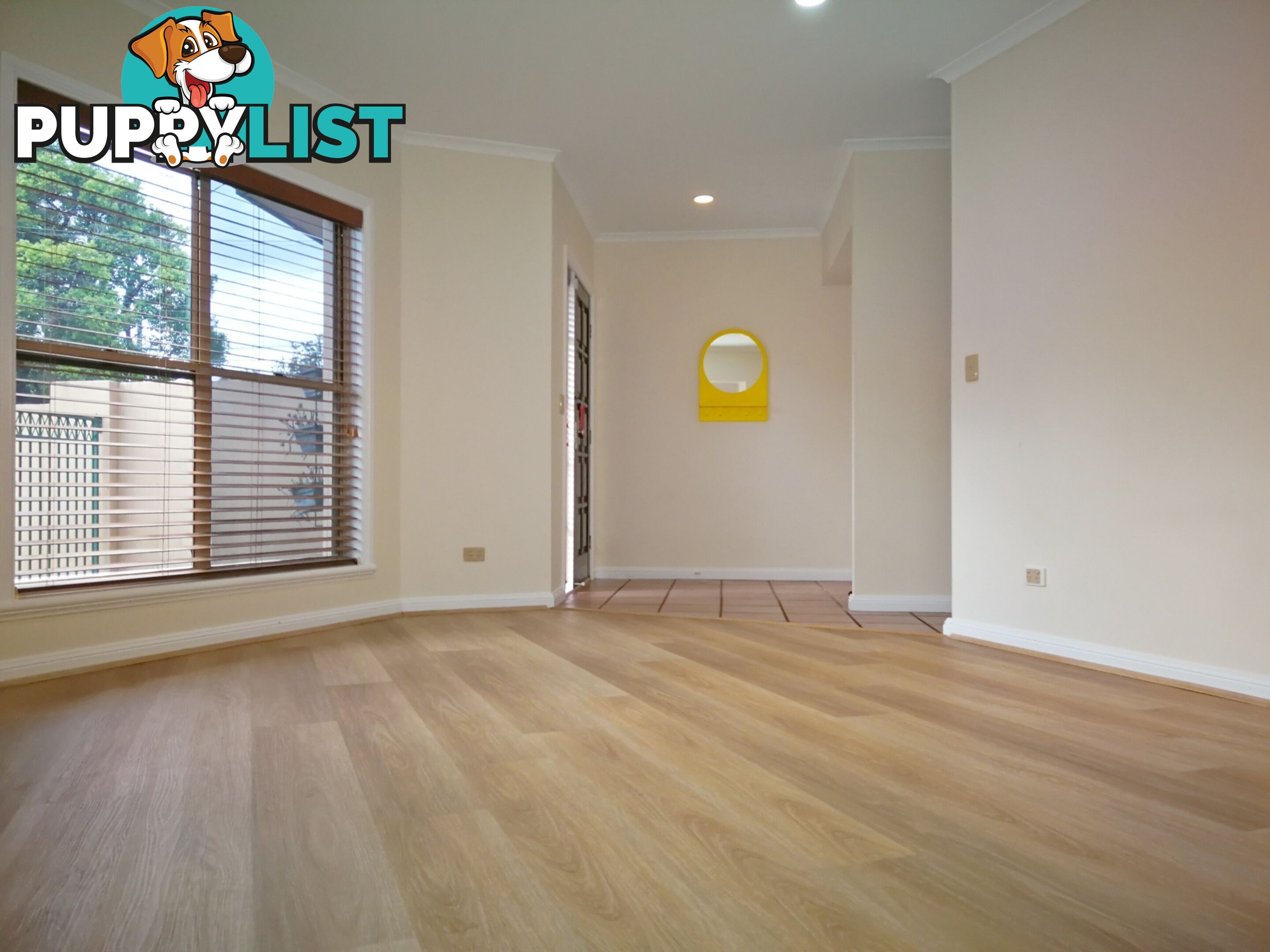 16 Dennis Street Indooroopilly QLD 4068