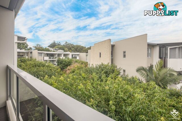ID:21158672 71 Beeston Street Teneriffe QLD 4005