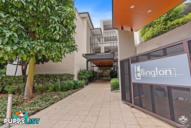 ID:21158672 71 Beeston Street Teneriffe QLD 4005