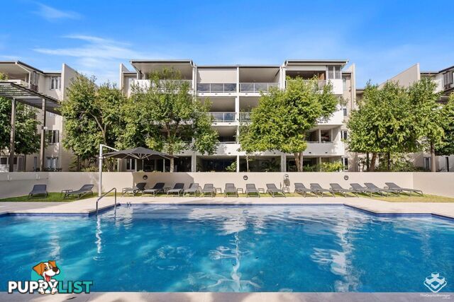 ID:21158672 71 Beeston Street Teneriffe QLD 4005
