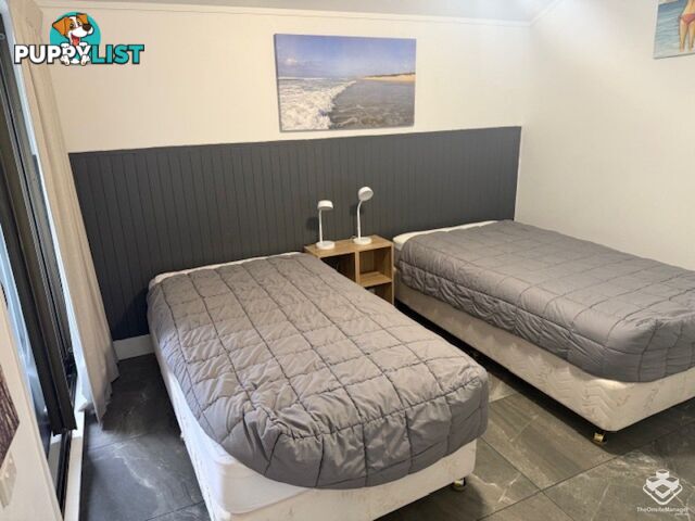 ID:21154740 388 David Low Way Peregian Beach QLD 4573