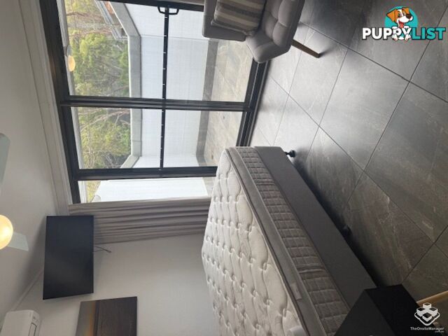 ID:21154740 388 David Low Way Peregian Beach QLD 4573