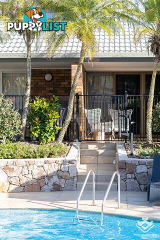 ID:21154740 388 David Low Way Peregian Beach QLD 4573