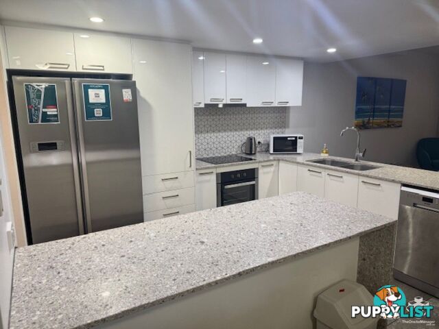 ID:21154740 388 David Low Way Peregian Beach QLD 4573