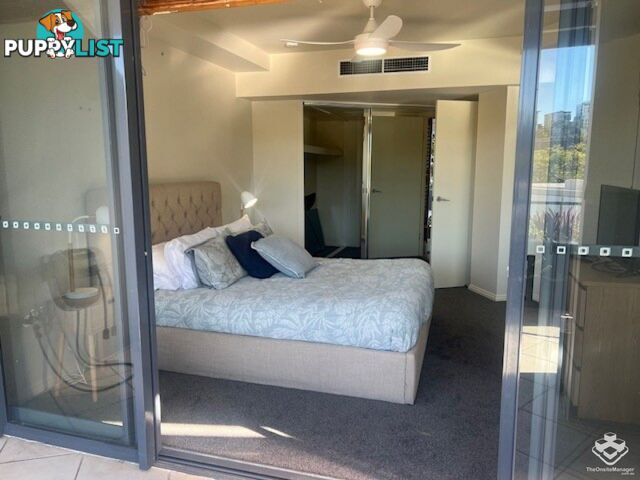 ID:3723746 1 Holman Street KANGAROO POINT QLD 4169