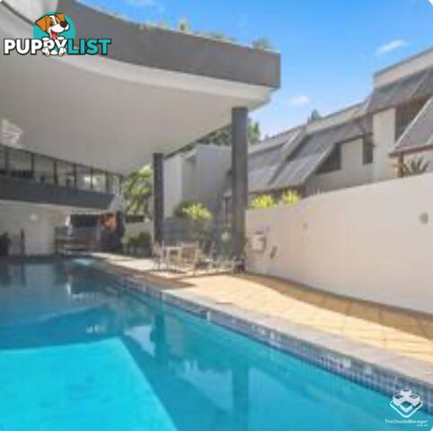 ID:3723746 1 Holman Street KANGAROO POINT QLD 4169