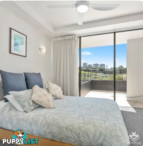 ID:3723746 1 Holman Street KANGAROO POINT QLD 4169