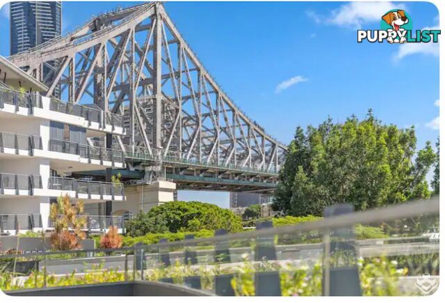 ID:3723746 1 Holman Street KANGAROO POINT QLD 4169