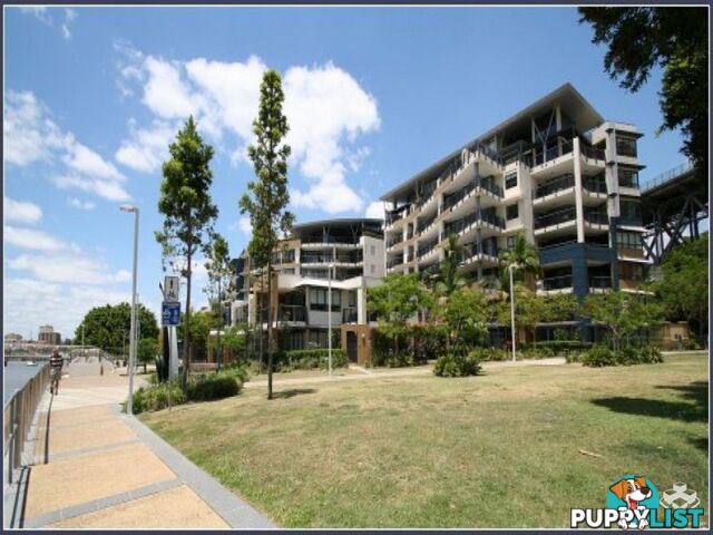 ID:3723746 1 Holman Street KANGAROO POINT QLD 4169