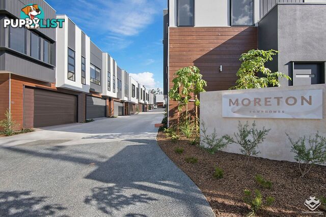 ID:21154953 52 Russell Street Everton Park QLD 4053