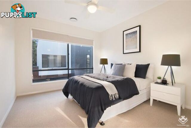 ID:21154953 52 Russell Street Everton Park QLD 4053
